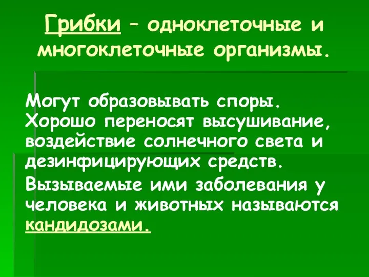 Грибки – одноклеточные и многоклеточные организмы. Могут образовывать споры. Хорошо переносят