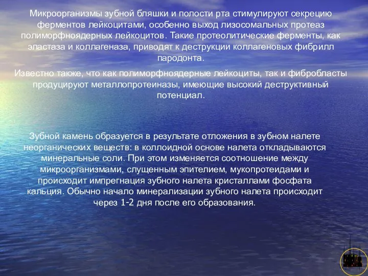 АНИСИМОВА Л.В.кмн. Микроорганизмы зубной бляшки и полости рта стимулируют секрецию ферментов