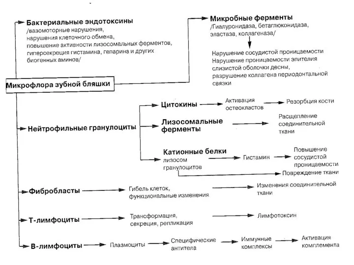 АНИСИМОВА Л.В.кмн.