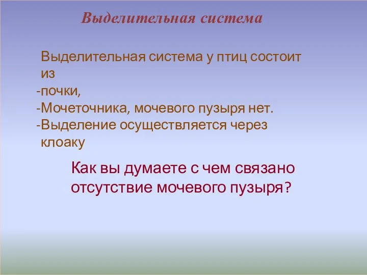 Выделительная система Выделительная система у птиц состоит из почки, Мочеточника, мочевого