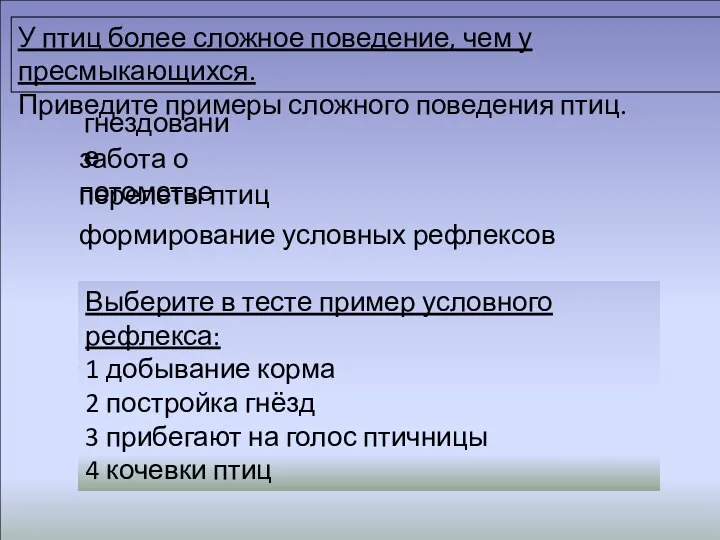 У птиц более сложное поведение, чем у пресмыкающихся. Приведите примеры более