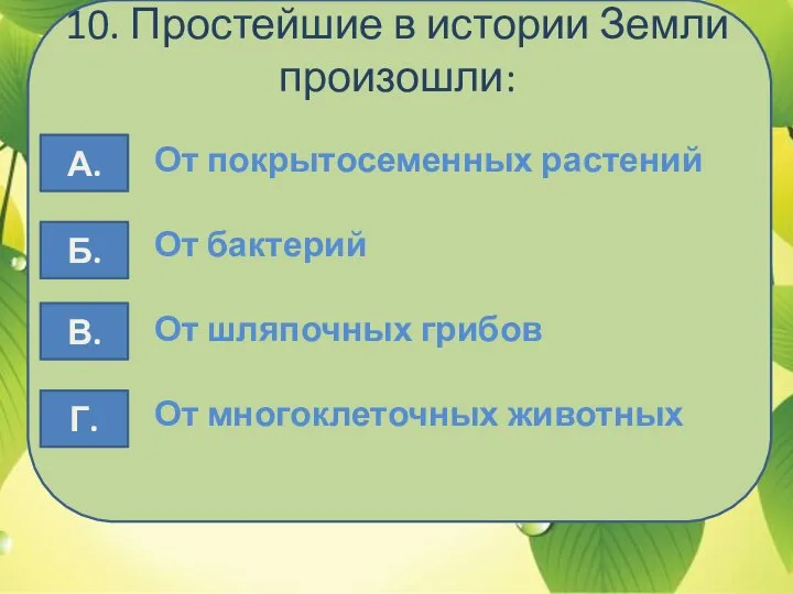 10. Простейшие в истории Земли произошли: От покрытосеменных растений От бактерий