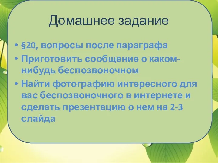 Домашнее задание §20, вопросы после параграфа Приготовить сообщение о каком-нибудь беспозвоночном