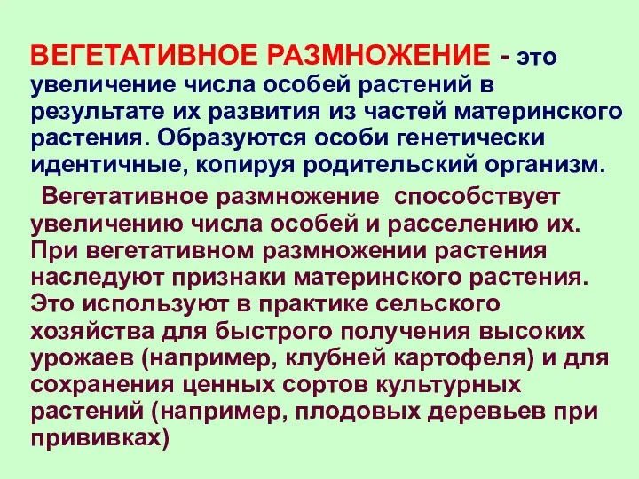 ВЕГЕТАТИВНОЕ РАЗМНОЖЕНИЕ - это увеличение числа особей растений в результате их