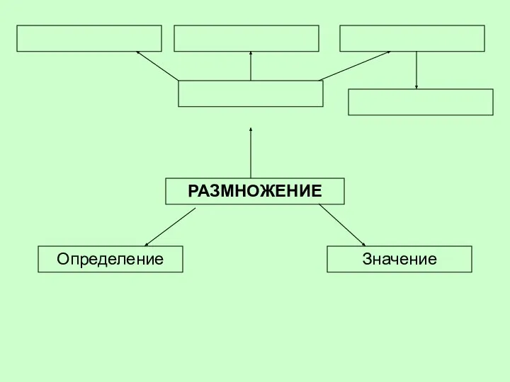 РАЗМНОЖЕНИЕ Определение Значение