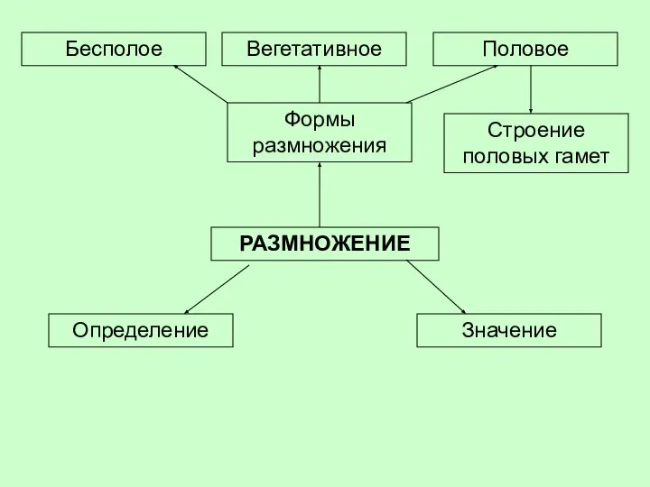 РАЗМНОЖЕНИЕ Определение Формы размножения Значение Бесполое Вегетативное Половое Строение половых гамет