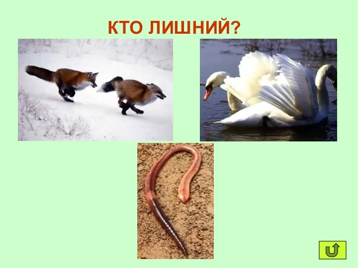 КТО ЛИШНИЙ?