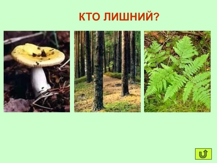 КТО ЛИШНИЙ?