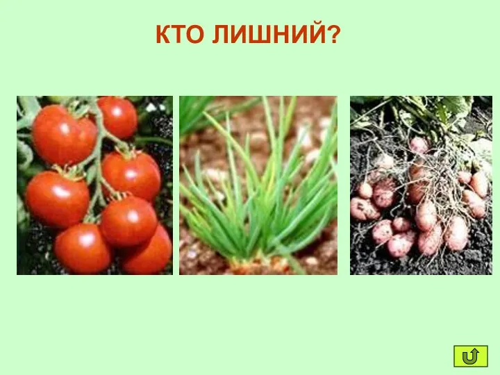 КТО ЛИШНИЙ?