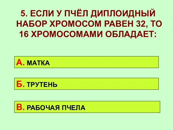 5. ЕСЛИ У ПЧЁЛ ДИПЛОИДНЫЙ НАБОР ХРОМОСОМ РАВЕН 32, ТО 16