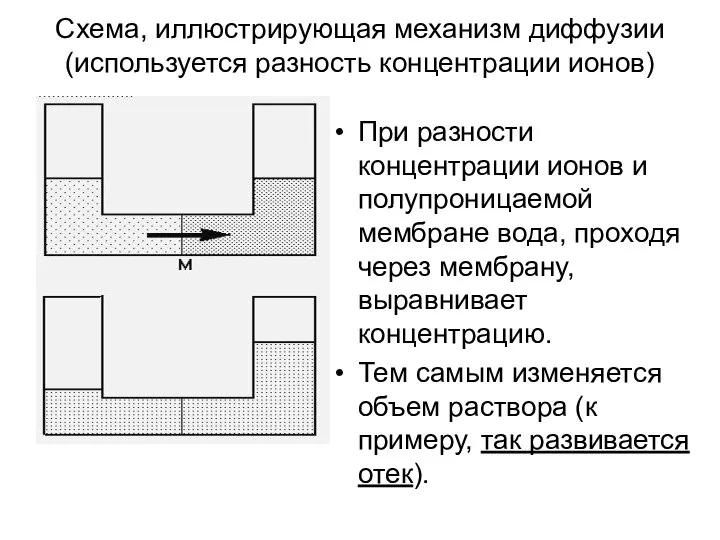 Схема, иллюстрирующая механизм диффузии (используется разность концентрации ионов) При разности концентрации