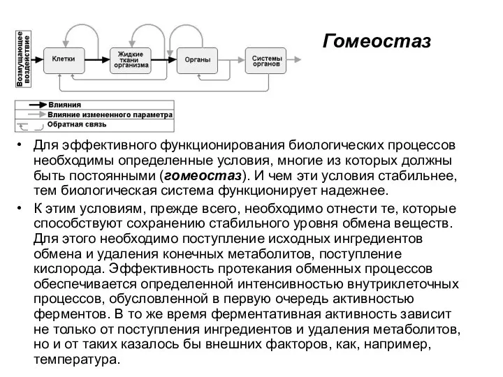 Гомеостаз Для эффективного функционирования биологических процессов необходимы определенные условия, многие из