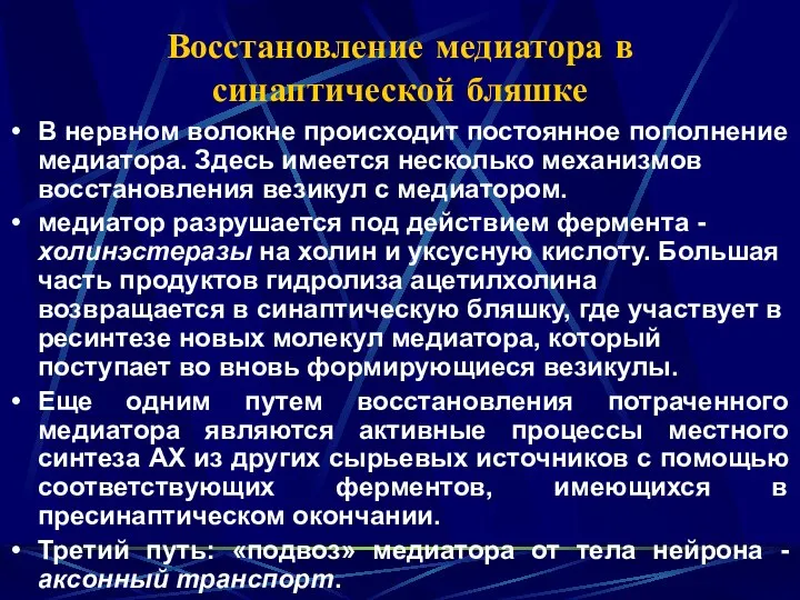 Восстановление медиатора в синаптической бляшке В нервном волокне происходит постоянное пополнение