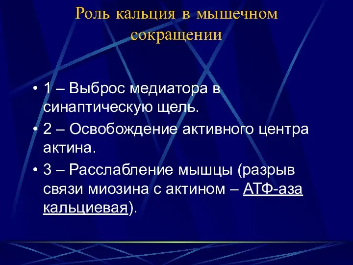 Роль кальция в мышечном сокращении 1 – Выброс медиатора в синаптическую