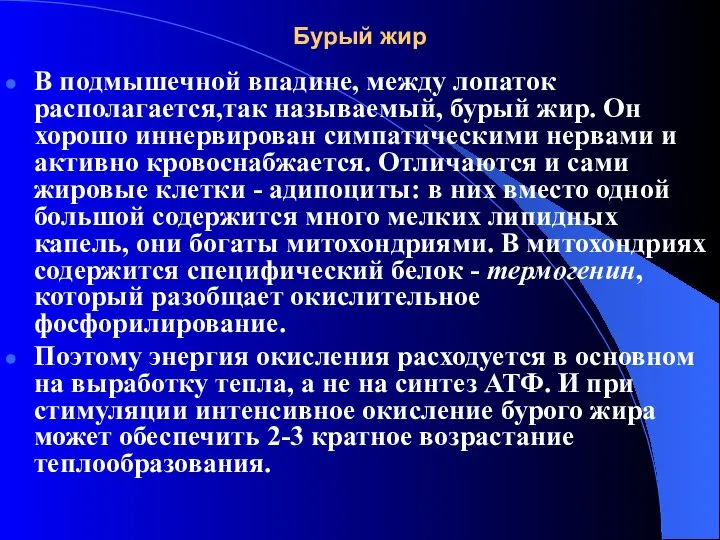 Бурый жир В подмышечной впадине, между лопаток располагается,так называемый, бурый жир.