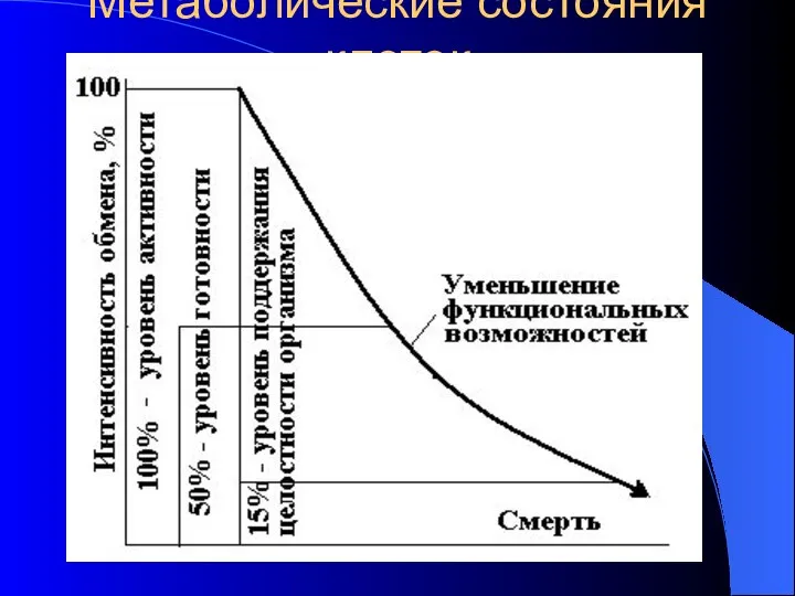 Метаболические состояния клеток