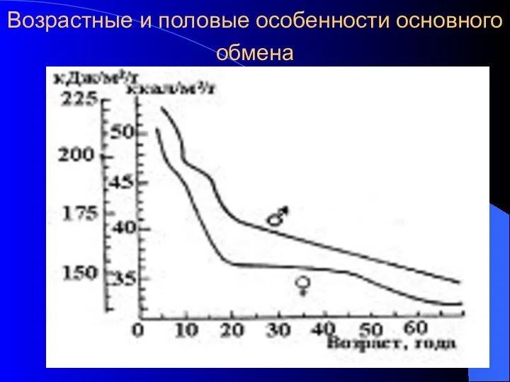 Возрастные и половые особенности основного обмена