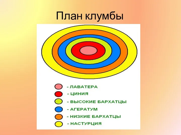 План клумбы