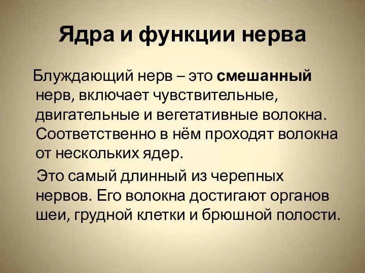 Ядра и функции нерва Блуждающий нерв – это смешанный нерв, включает