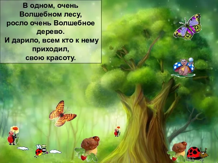 В одном очень волшебном лесу, росло очень волшебное дерево. И дарило,