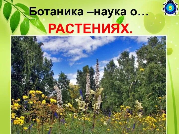 Ботаника –наука о… РАСТЕНИЯХ.