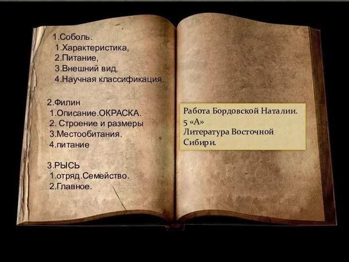 СОБОЛЬ 1.Соболь. 1.Характеристика, 2.Питание, 3.Внешний вид, 4.Научная классификация. 2.Филин 1.Описание.ОКРАСКА. 2.