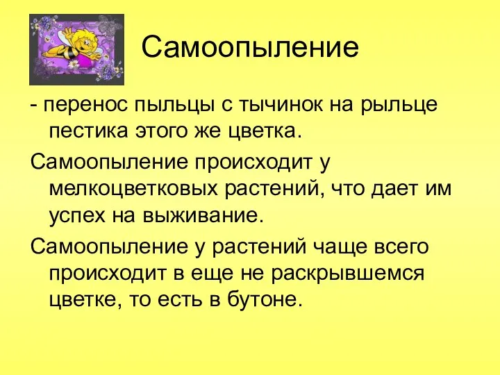 Самоопыление - перенос пыльцы с тычинок на рыльце пестика этого же