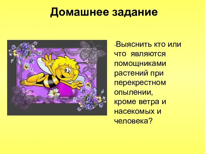 Домашнее задание -Выяснить кто или что являются помощниками растений при перекрестном