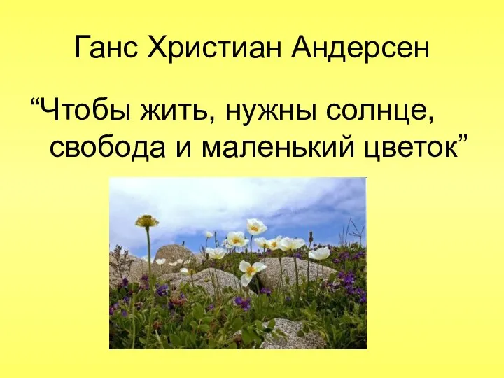 Ганс Христиан Андерсен “Чтобы жить, нужны солнце, свобода и маленький цветок”