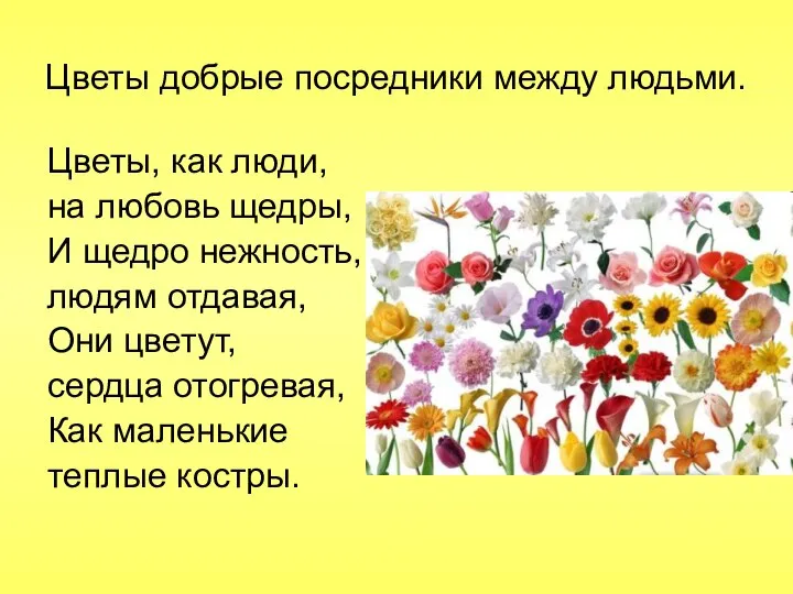 Цветы добрые посредники между людьми. Цветы, как люди, на любовь щедры,