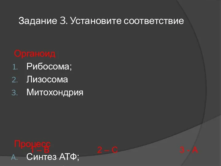 Задание 3. Установите соответствие Органоид Рибосома; Лизосома Митохондрия Процесс Синтез АТФ;