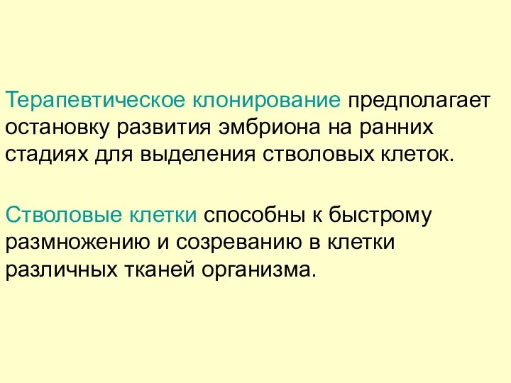 Терапевтическое клонирование предполагает остановку развития эмбриона на ранних стадиях для выделения