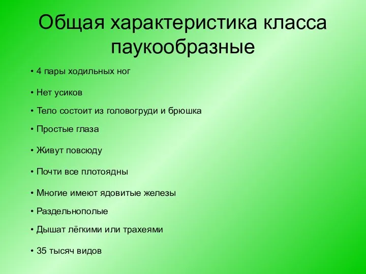 Общая характеристика класса паукообразные 4 пары ходильных ног Нет усиков Тело