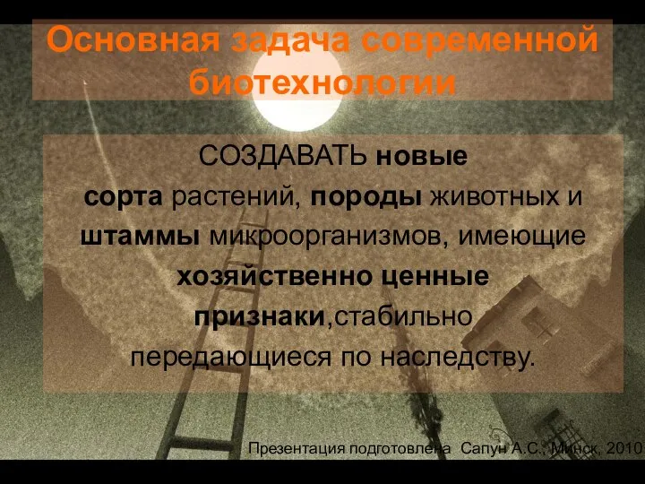 Основная задача современной биотехнологии СОЗДАВАТЬ новые сорта растений, породы животных и