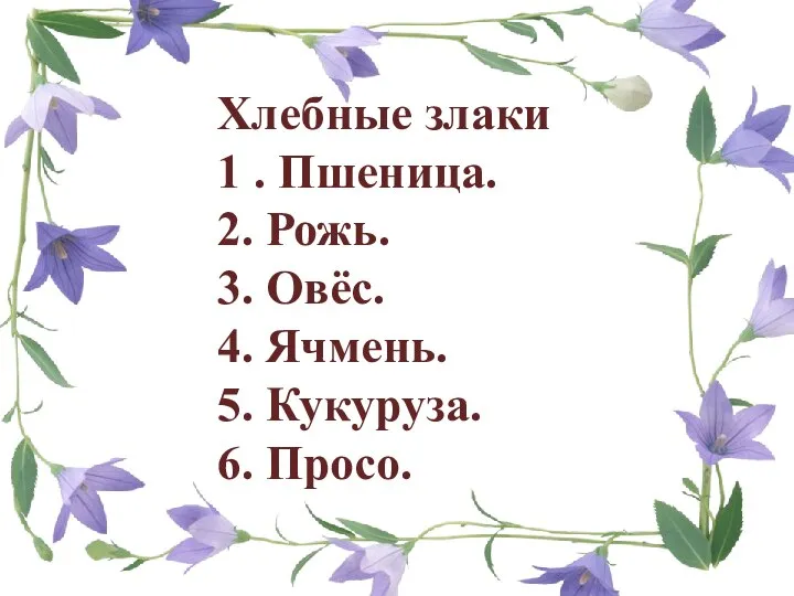 Хлебные злаки 1 . Пшеница. 2. Рожь. 3. Овёс. 4. Ячмень. 5. Кукуруза. 6. Просо.