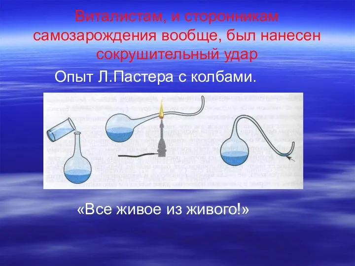 Виталистам, и сторонникам самозарождения вообще, был нанесен сокрушительный удар Опыт Л.Пастера