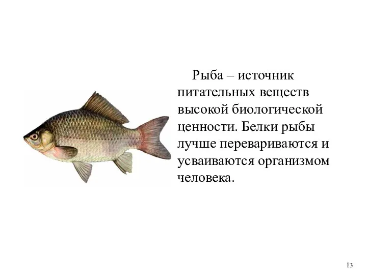 Рыба – источник питательных веществ высокой биологической ценности. Белки рыбы лучше