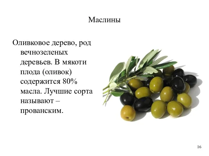 Маслины Оливковое дерево, род вечнозеленых деревьев. В мякоти плода (оливок) содержится