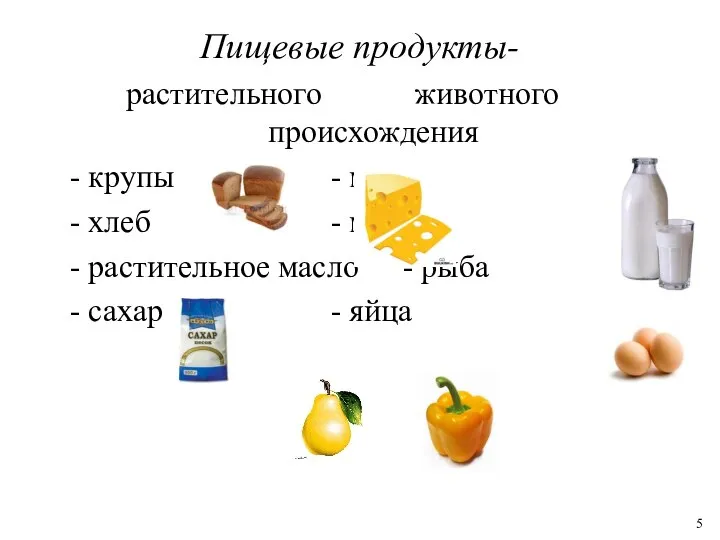 Пищевые продукты- растительного животного происхождения - крупы - мясо - хлеб