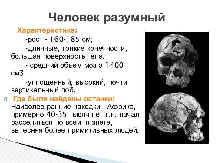 Человек разумный Характеристика: -рост - 160-185 см; -длинные, тонкие конечности, большая