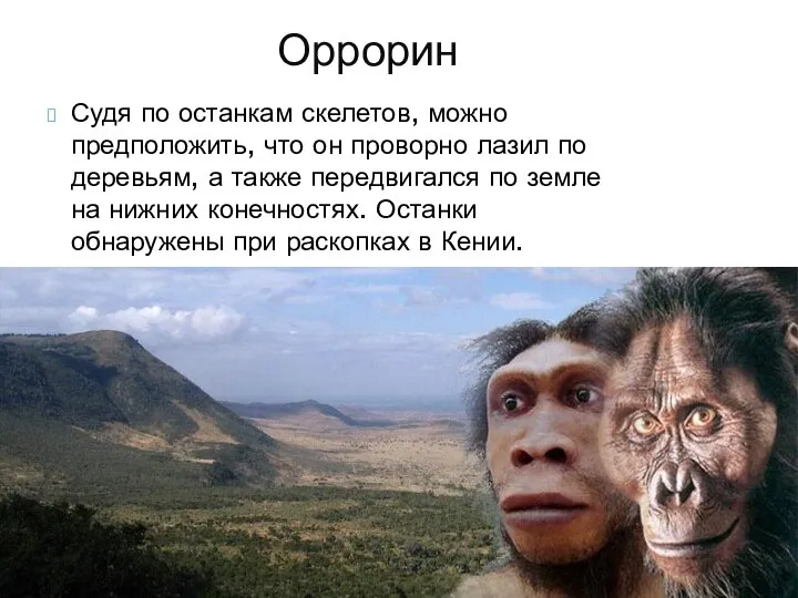 Судя по останкам скелетов, можно предположить, что он проворно лазил по