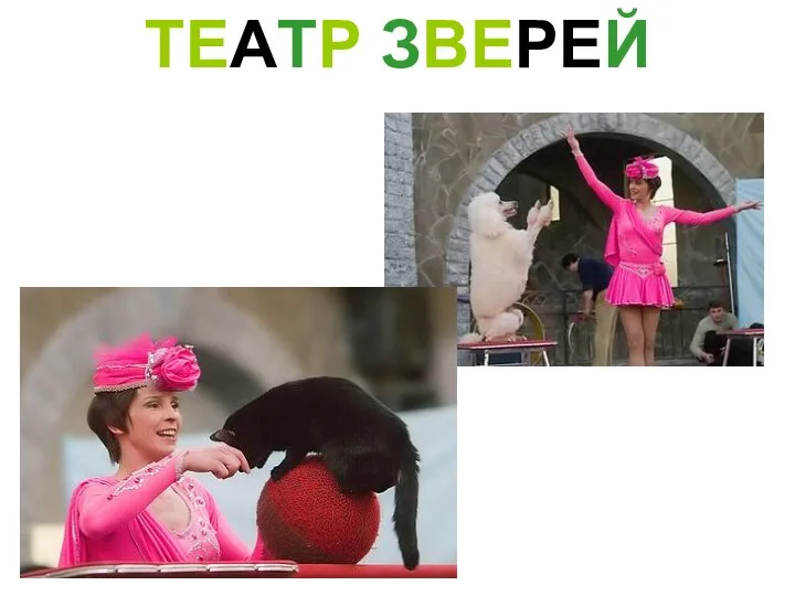 ТЕАТР ЗВЕРЕЙ