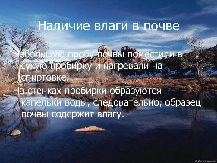 Наличие влаги в почве Небольшую пробу почвы поместили в сухую пробирку