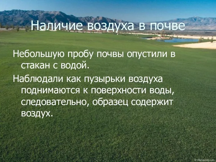 Наличие воздуха в почве Небольшую пробу почвы опустили в стакан с