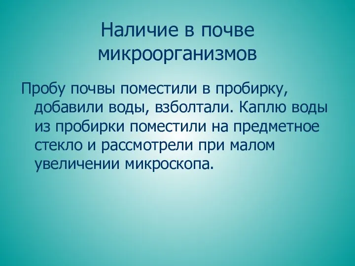 Наличие в почве микроорганизмов Пробу почвы поместили в пробирку, добавили воды,