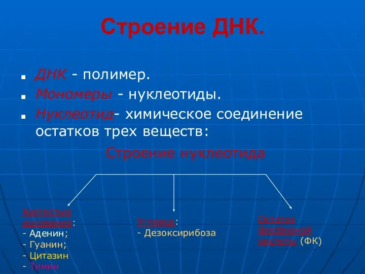 Строение ДНК. ДНК - полимер. Мономеры - нуклеотиды. Нуклеотид- химическое соединение