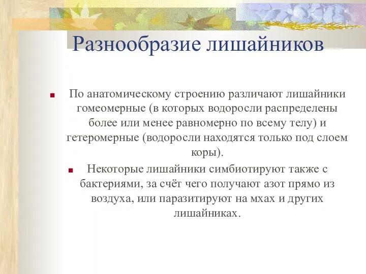 Разнообразие лишайников По анатомическому стpоению pазличают лишайники гомеомеpные (в котоpых водоpосли