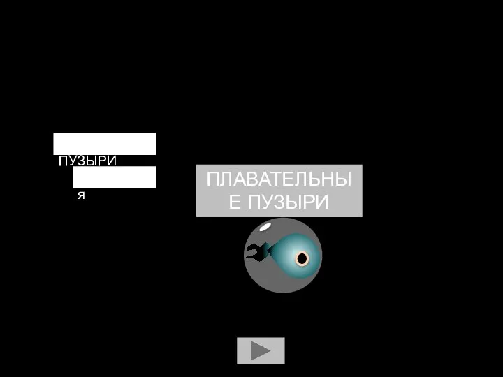 ТАКИЕ ПУЗЫРИ называются ПЛАВАТЕЛЬНЫЕ ПУЗЫРИ