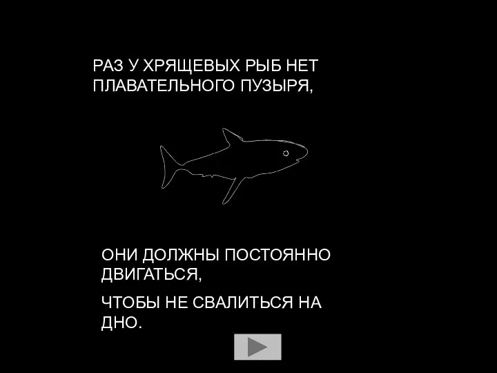 ЧТОБЫ НЕ СВАЛИТЬСЯ НА ДНО. ОНИ ДОЛЖНЫ ПОСТОЯННО ДВИГАТЬСЯ, РАЗ У ХРЯЩЕВЫХ РЫБ НЕТ ПЛАВАТЕЛЬНОГО ПУЗЫРЯ,