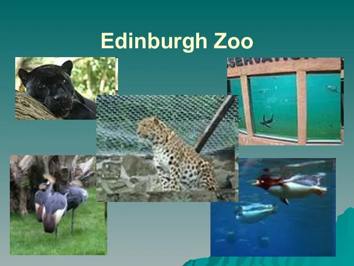 Edinburgh Zoo